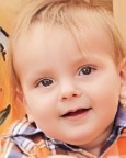 2015 dog bite fatality, fatal pit bull attack, Carter Hartle